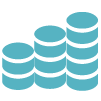 Large Cap Fund
